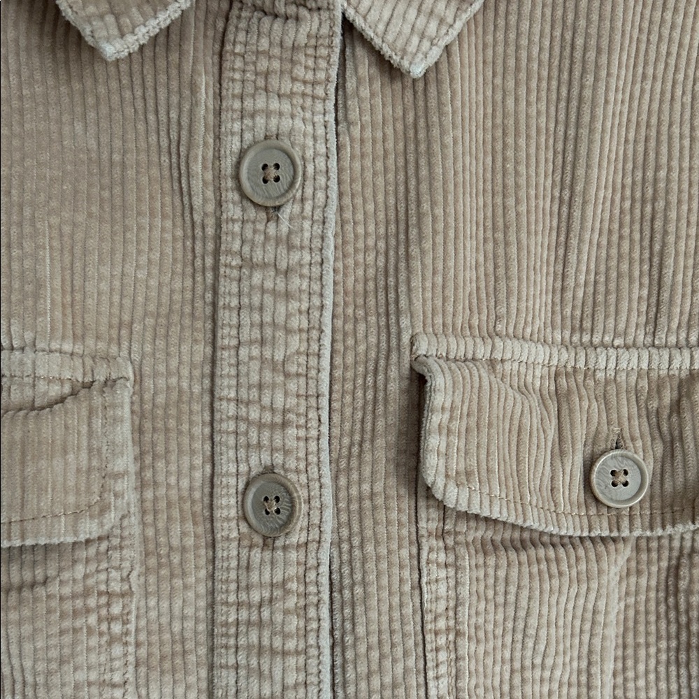American Eagle Corduroy Shirt in Camel Tan - Picture 4 of 8